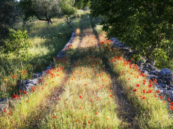 Puglia self guided walking vacation