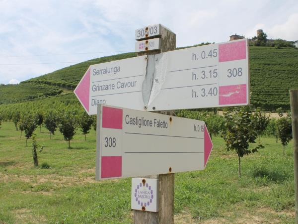 Piedmont walking holiday, self guided