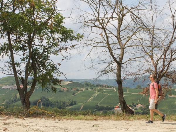 Piedmont walking holiday, self guided