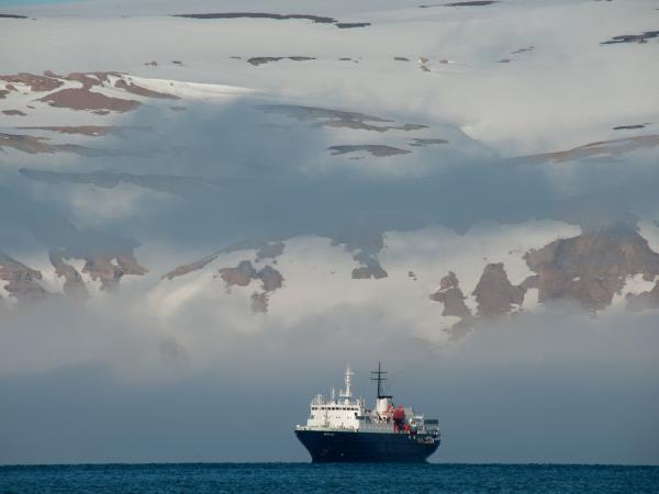 Svalbard wildlife cruise