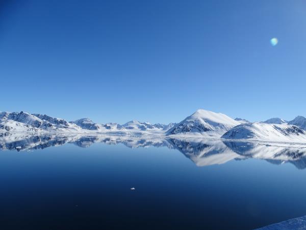 Svalbard wildlife cruise