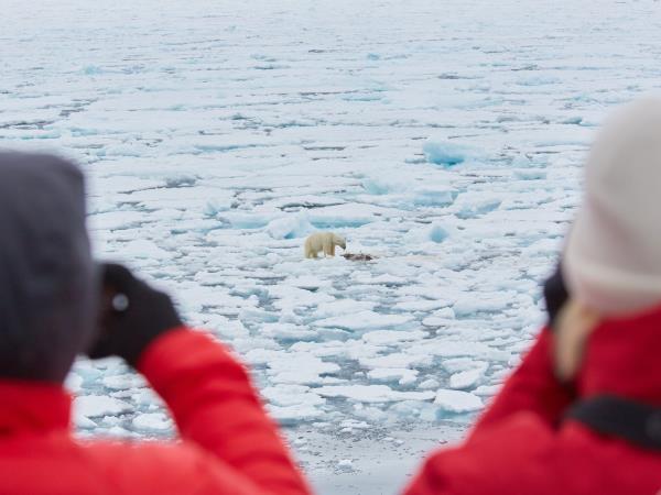 Svalbard wildlife cruise