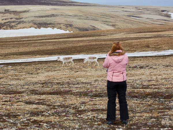 Svalbard wildlife cruise