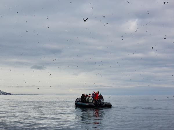 Svalbard wildlife cruise