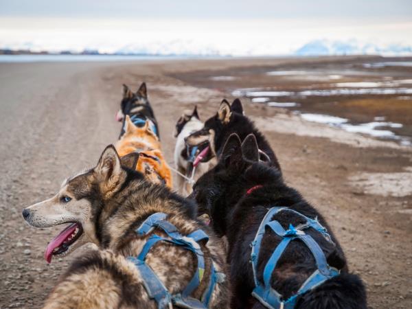 Spitsbergen Summer vacation on Svalbard