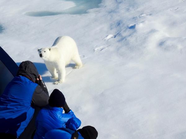 Svalbard in depth cruise