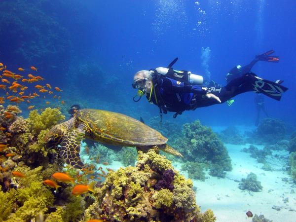 Advanced diving holidays in Dahab