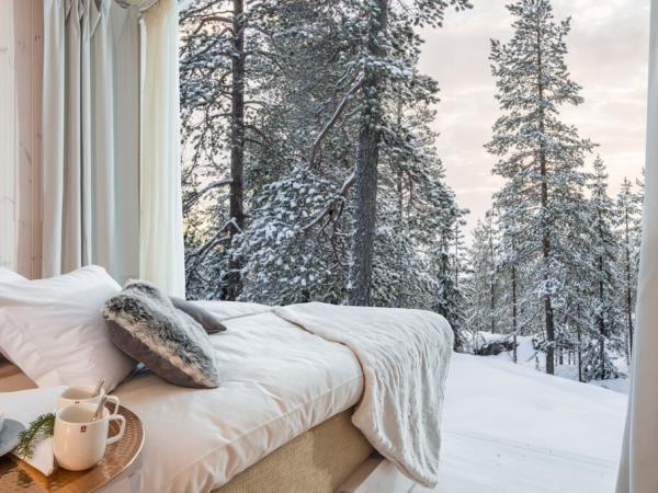 Arctic treehouse winter short break