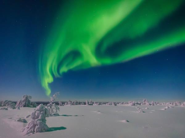 Arctic treehouse winter short break