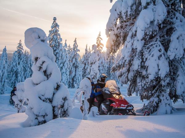 Arctic treehouse winter short break
