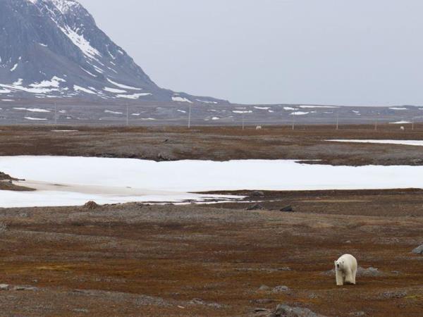 Spitsbergen arctic summer holiday