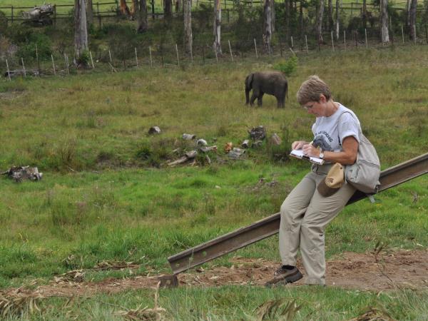 Over 40s volunteering with elephants, South Africa