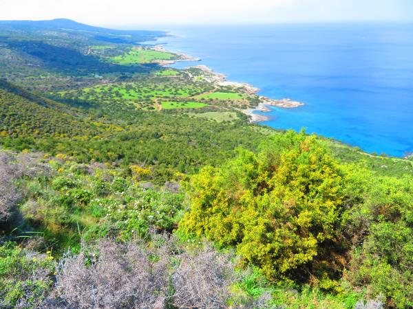 Winter walking in Cyprus vacation