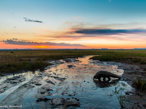 Malawi animal conservation and safari vacation