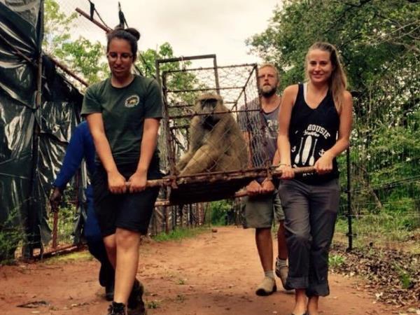 Malawi animal conservation and safari vacation