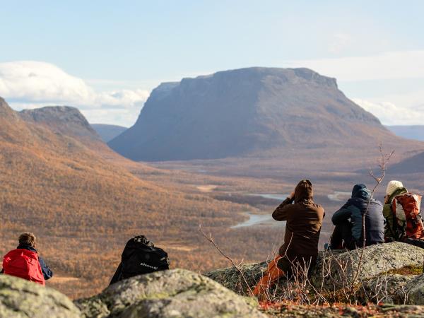 Sweden wildlife vacation, Moose expedition