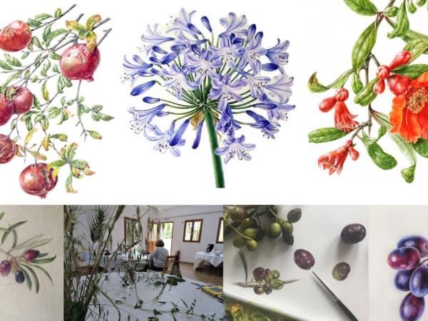 Botanical painting vacation in Greece