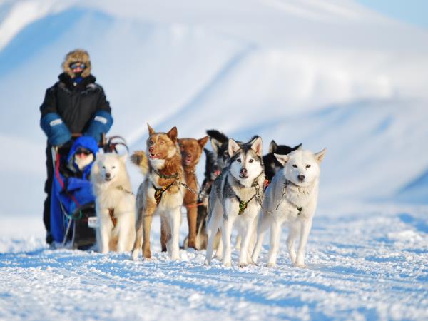 Dog-sledding in Spitsbergen vacation