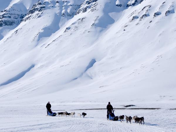 Dog-sledding in Spitsbergen vacation