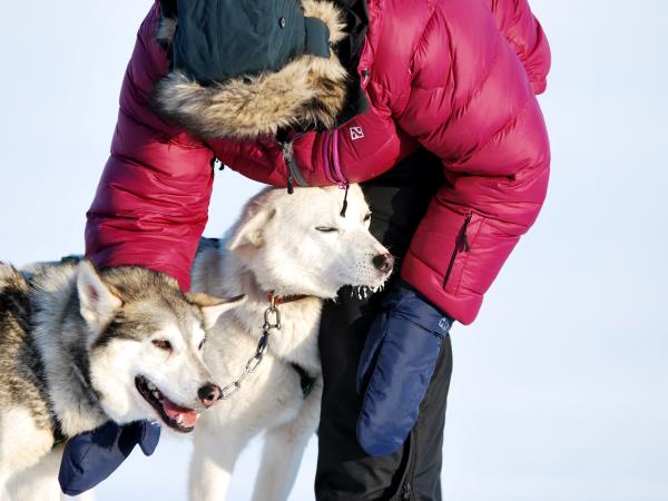 Dog-sledding in Spitsbergen vacation