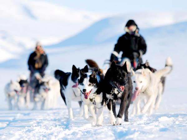 Dog-sledding in Spitsbergen vacation