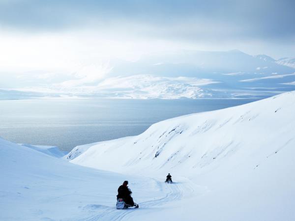 Dog-sledding in Spitsbergen vacation