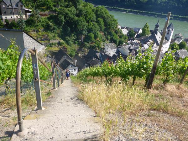 Germany walking vacation, Rhine River & Castles Walk