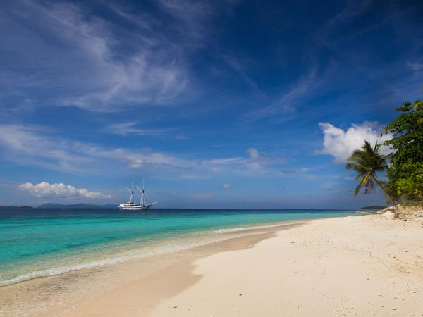 Cruise the Raja Ampat Islands, Indonesia
