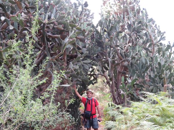 La Palma Walking vacation