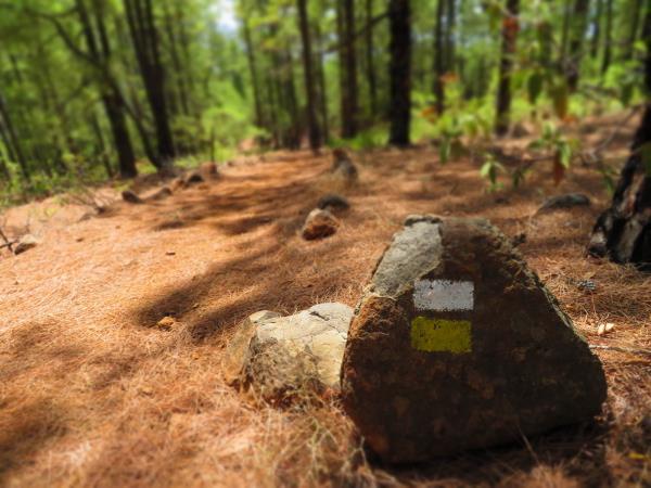 La Palma Walking vacation