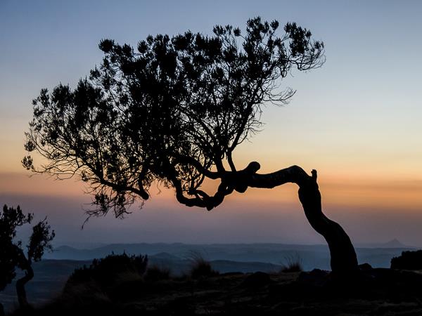 Ethiopia photography tour
