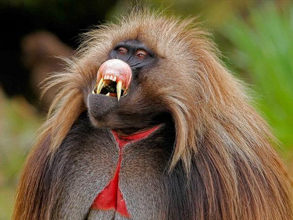 Ethiopia photography tour