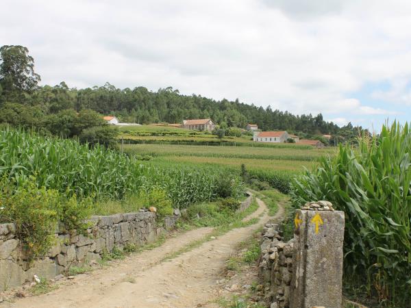 The Portuguese Way hiking vacation