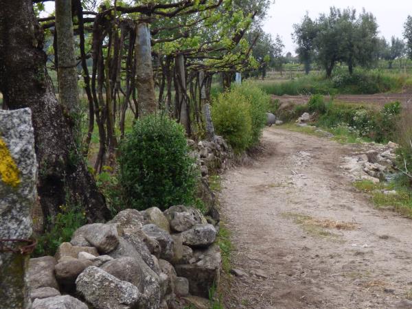 The Portuguese Way hiking vacation