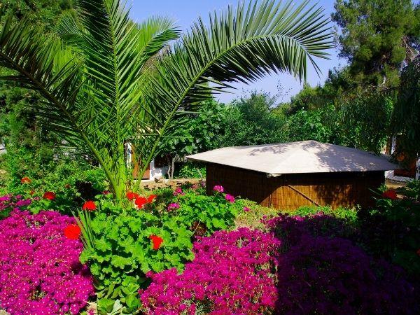 Holistic vacation in Greece