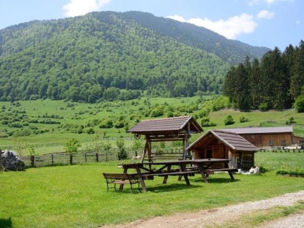 Romania family activity vacation