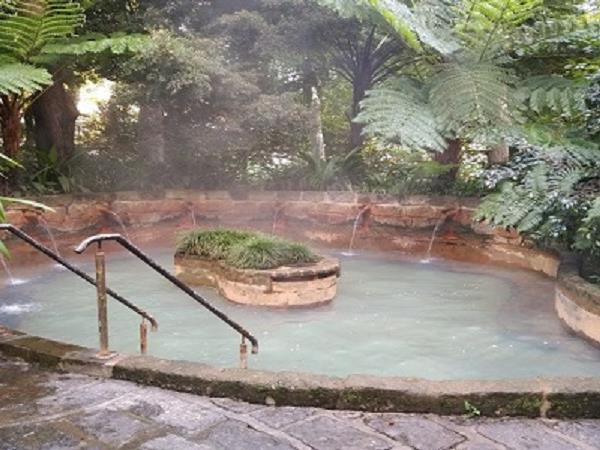 Azores whale watching and walking vacation