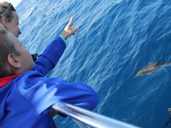 Azores family vacation, whale watching and walking
