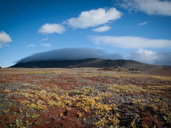 Iceland to Greenland cruise
