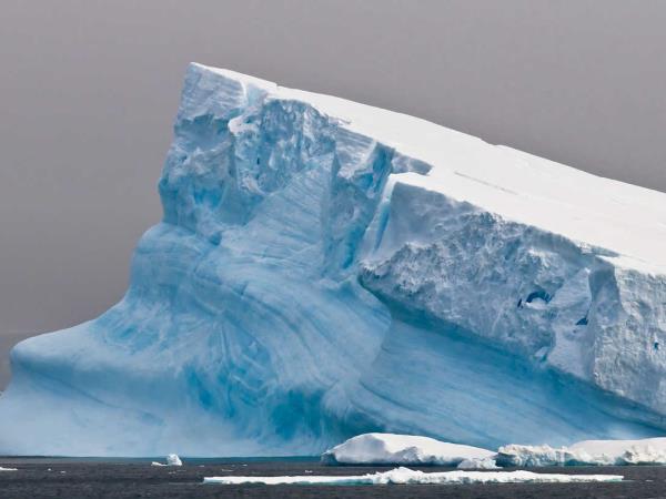 Antarctic Circle wildlife cruise