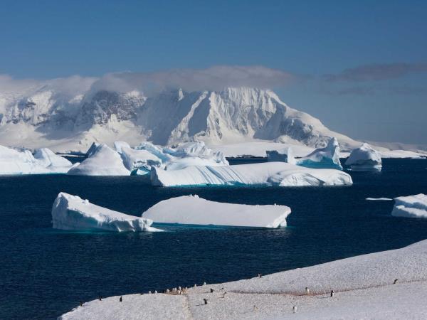 Antarctic Circle wildlife cruise