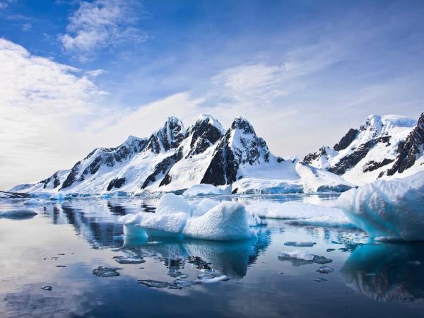 Antarctic Circle wildlife cruise