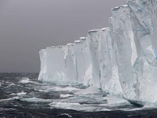 Antarctica, Falklands & South Georgia wildlife cruise