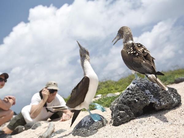 Luxury Galapagos Islands cruise, 10 days