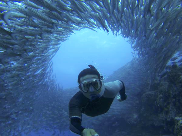 Luxury Galapagos Islands cruise, 10 days