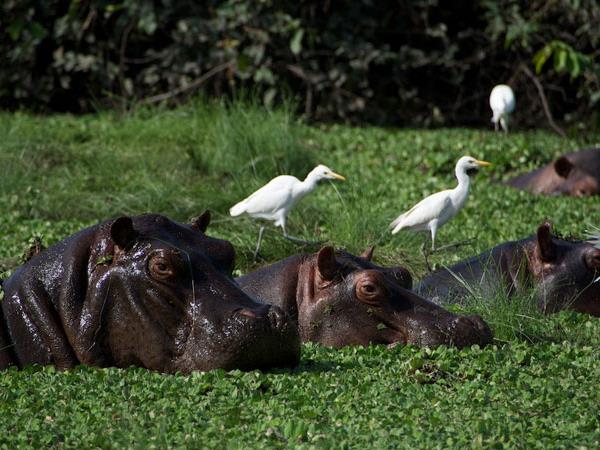Guinea-Bissau tour, beyond the Bijagos