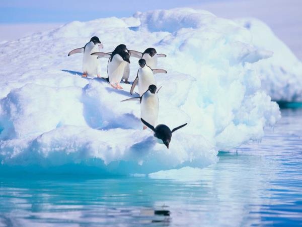 Cruise crossing the Antarctic Circle