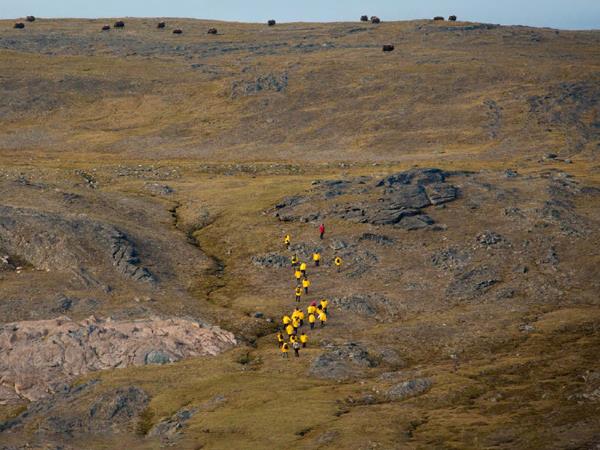 Greenland cruise, southern coasts and Disko Bay