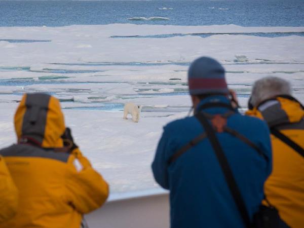 Greenland cruise, southern coasts and Disko Bay