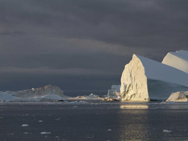 Greenland cruise, southern coasts and Disko Bay